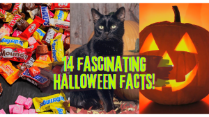 14 Fascinating Hidden Halloween Facts You Probably Don't Know