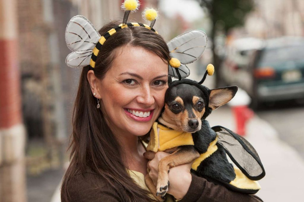 Bumblebee dog costume
