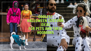 15 One-of-a-Kind Halloween Dress Up Ideas for You and Your Furry Friends