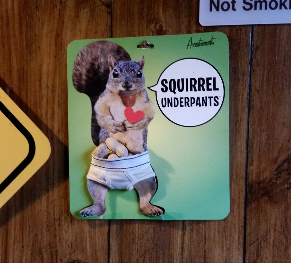 Squirrel underpant