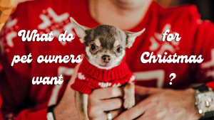 15 Unique Christmas Gift Ideas for Pet Lovers