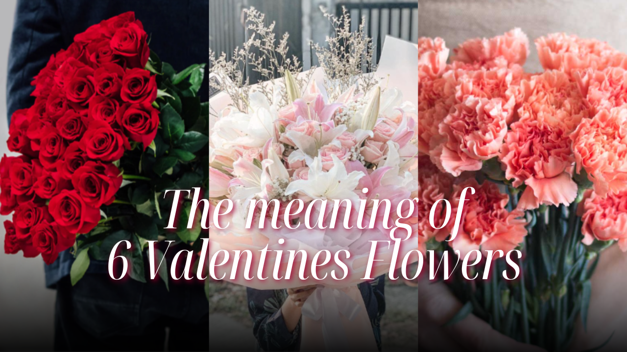 The Language of Love: 6 Valentines Flowers' Meanings