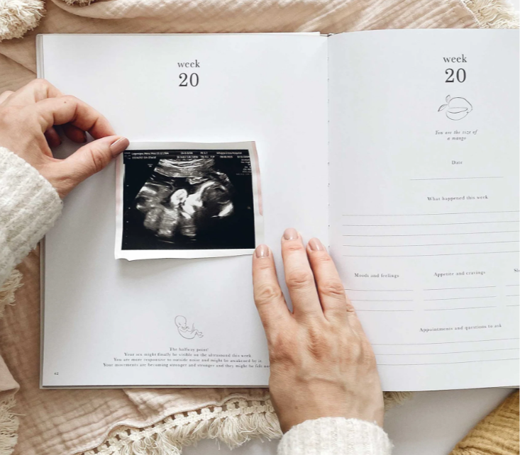 Pregnancy journal can pass as the most heartfelt gift for a mom-to-be